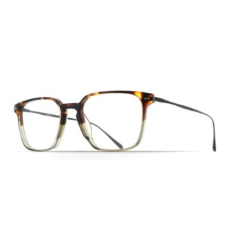 brett_david_tortoise_side