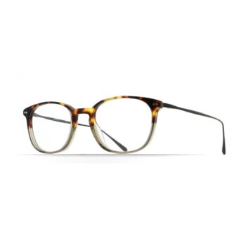 brett_james_tortoise_side